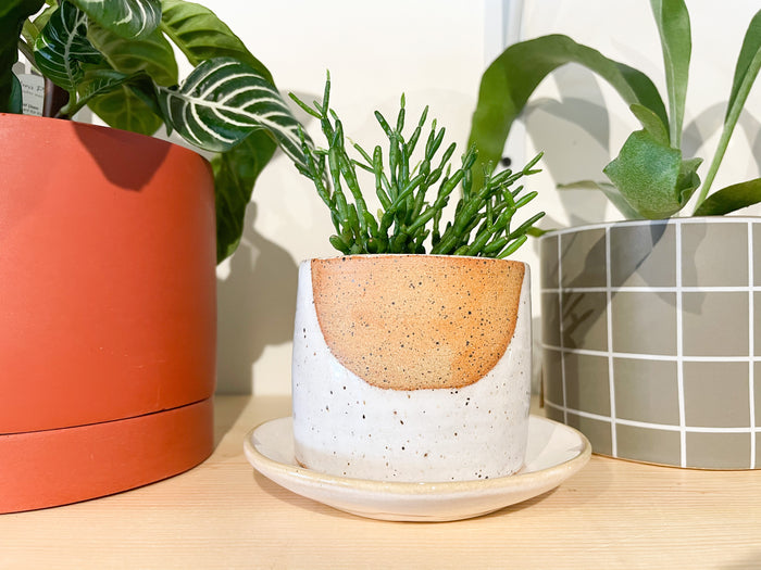 Nightshift Ceramics Glow Planter